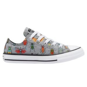 Chuck Taylor All Star Junior Bugged Out Low Top Ash Stone
